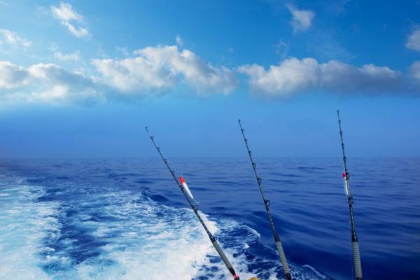 Sandestin Fishing Charters