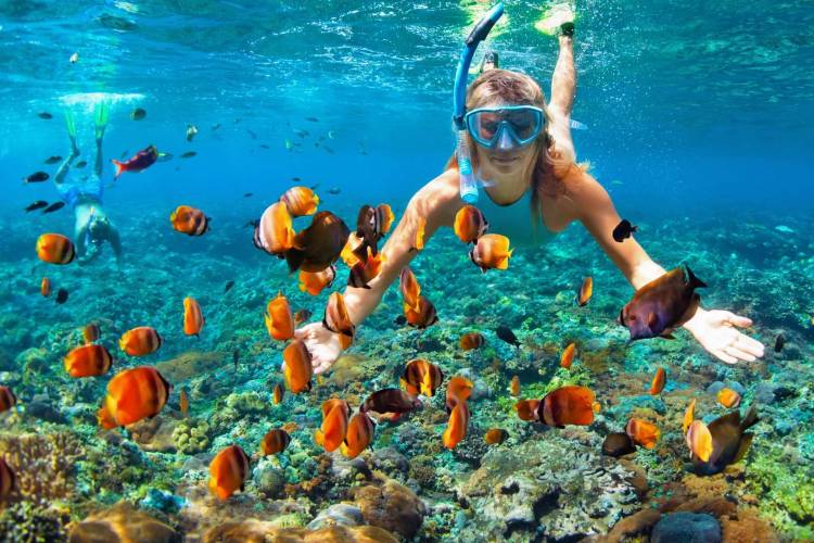 Snorkeling in Destin Florida