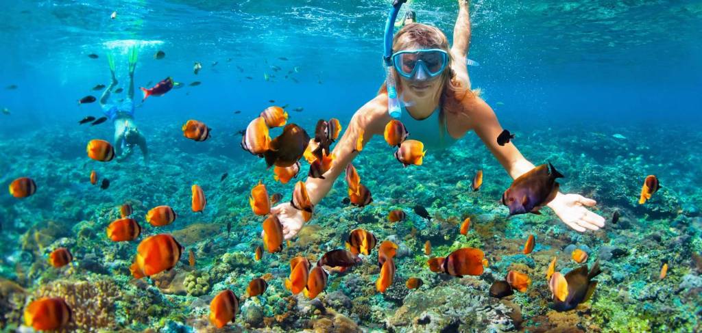 Snorkeling in Destin Florida